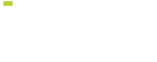 btgin ginseng 1